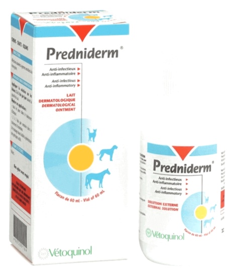 Prednisolone – illustration de comprimés et prescription