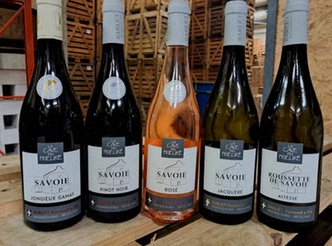 Acheter Vesicare pas cher – illustration du comprimé et boîte Vesicare