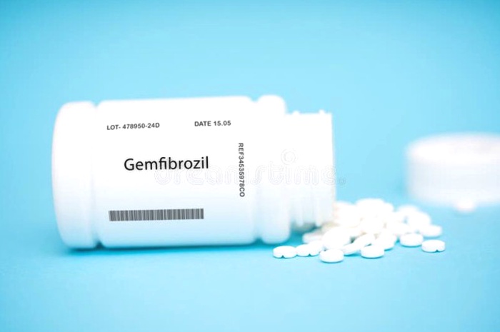 Acheter Gemfibrozil - Visuel comprimés et emballage